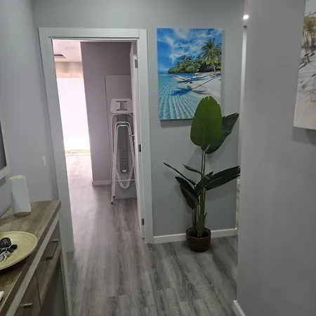 Apartment - Sol Da Rocha *